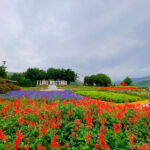 2..Happy Land flower garden