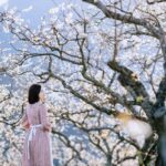 4..Na Ka Plum Valley