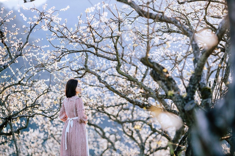 4..Na Ka Plum Valley